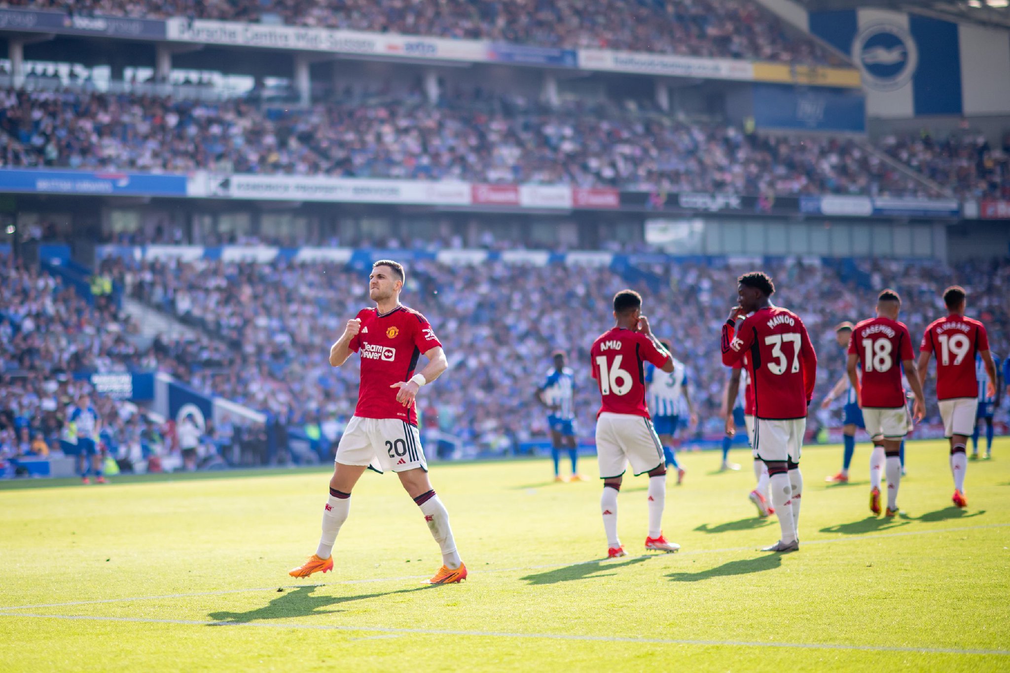 仅为宁波赢 仅为宁波赢